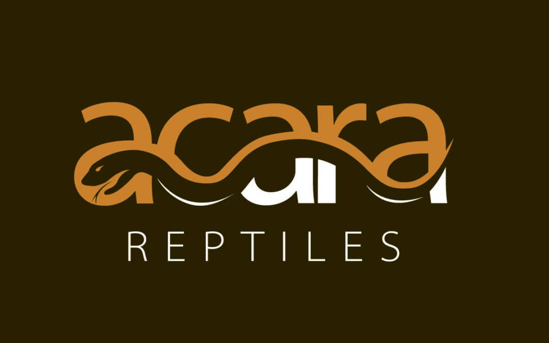 Acara Reptiles logo Design